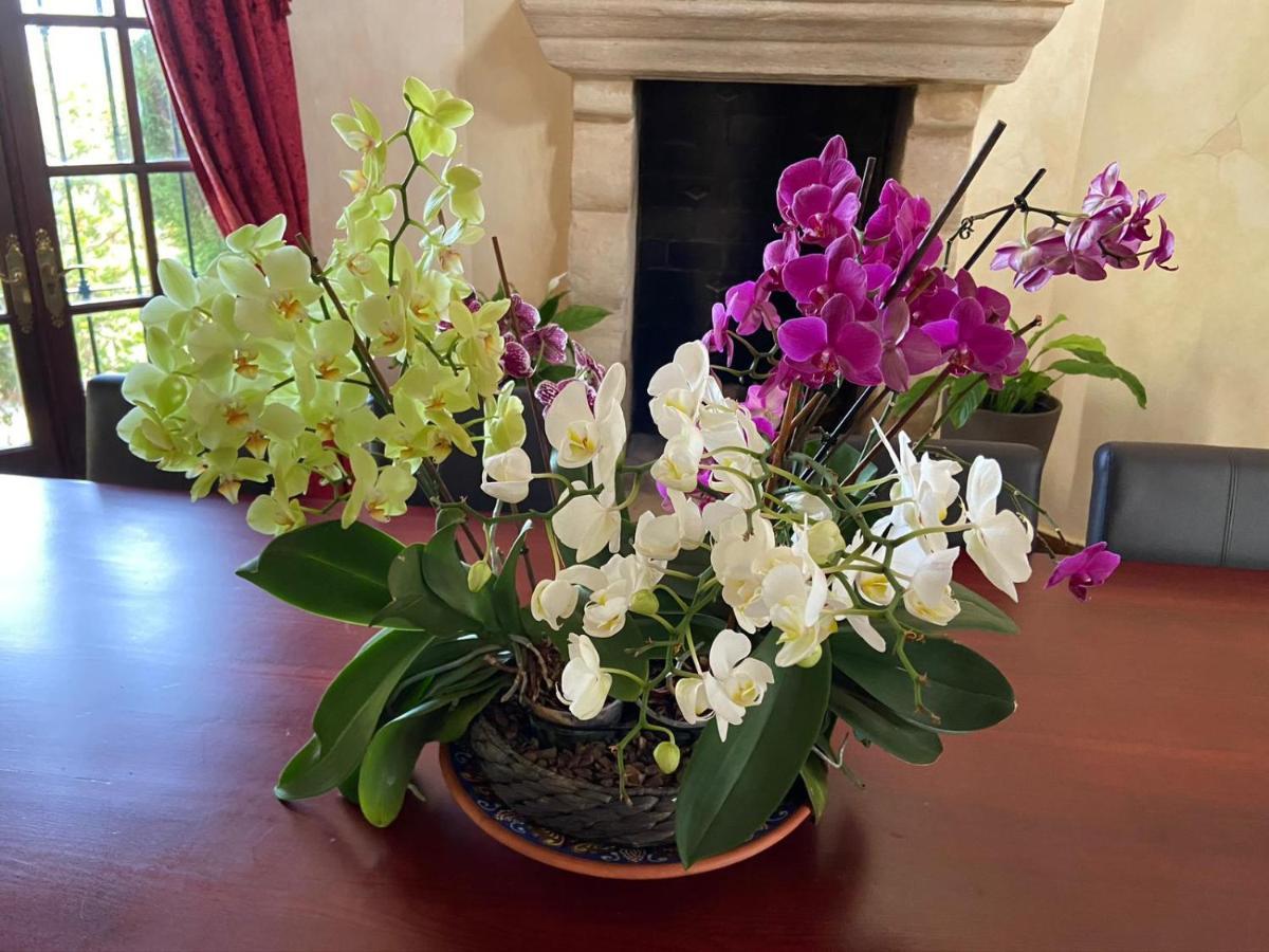 Villa Lampara En La Colina 베나하비스 외부 사진